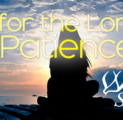 Wait for the Lord with Patience, a Virtual Service for November, 2020