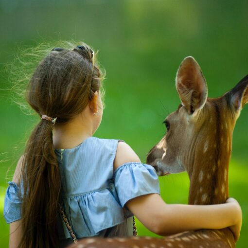girl wearing blue top with her hand around a deer