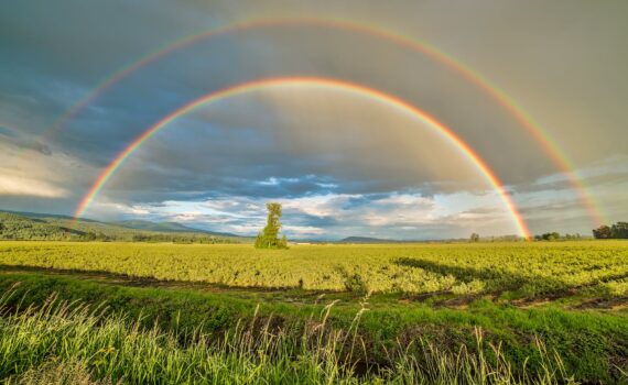 crop field under rainbow and cloudy skies at dayime